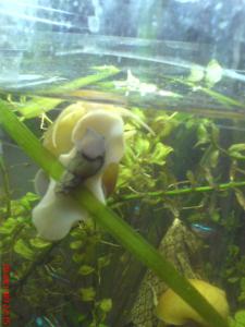 gallery_2538_231_64046.jpg