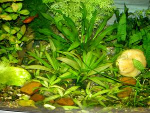 gallery_2082_242_656370.jpg