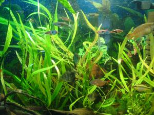 gallery_6586_234_445566.jpg