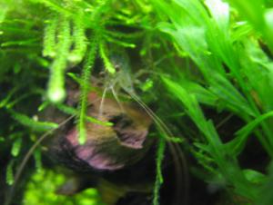 gallery_3093_248_201863.jpg