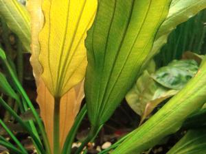 gallery_6490_257_1913831.jpg