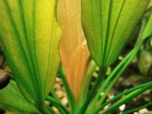 gallery_6490_257_521906.jpg