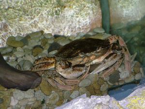 gallery_1522_269_254338.jpg