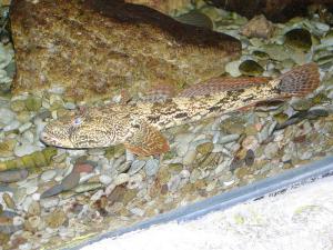 gallery_1522_269_421025.jpg