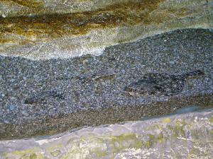 gallery_1522_269_421878.jpg