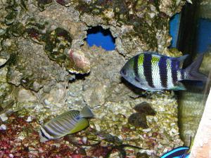 gallery_1522_269_101640.jpg