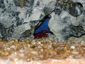 gallery_1522_269_155006.jpg