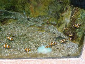 gallery_1522_269_306487.jpg