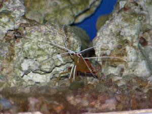 gallery_1522_269_86774.jpg