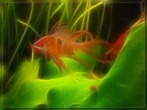 gallery_7582_288_1924872.jpg