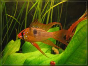 gallery_7582_288_607555.jpg