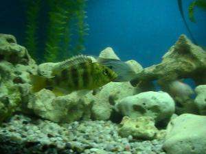 gallery_2582_293_65613.jpg