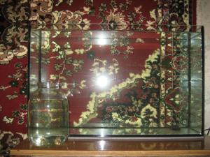gallery_7630_295_488828.jpg
