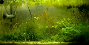gallery_6919_306_158499.jpg
