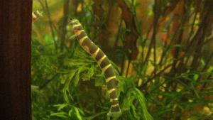 gallery_5450_327_3575065.jpg