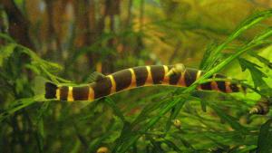 gallery_5450_327_4054011.jpg