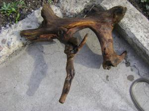 gallery_2083_66_62476.jpg