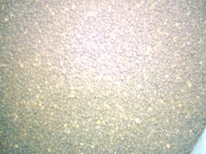 gallery_5135_330_38896.jpg