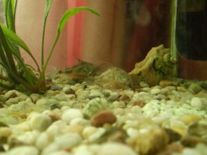 gallery_7840_343_1403763.jpg