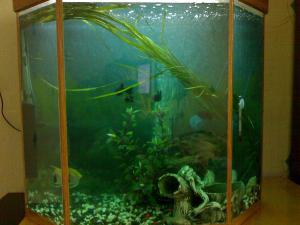 gallery_8610_354_374259.jpg