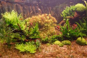gallery_8826_357_53116.jpg