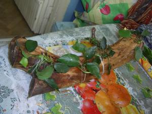 gallery_5331_370_143084.jpg
