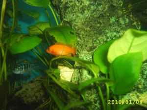 gallery_8562_369_404684.jpg