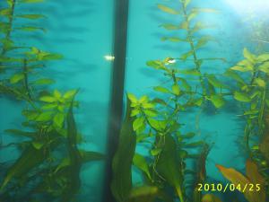 gallery_8562_369_415051.jpg