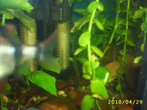 gallery_8562_369_441724.jpg