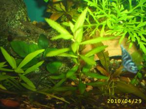 gallery_8562_369_518673.jpg