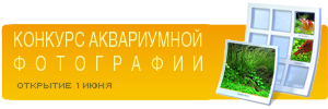 gallery_1_1_2353.png
