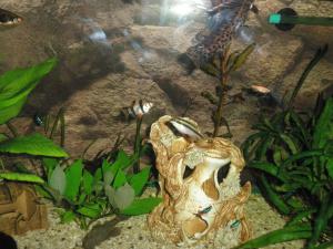 gallery_8757_387_426775.jpg