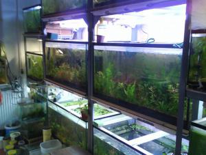 gallery_7679_410_2313.jpg