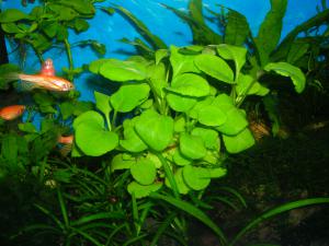 gallery_71_415_497606.jpg