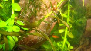 gallery_10033_455_480689.jpg