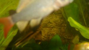 gallery_10033_455_572471.jpg