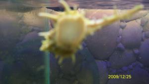 gallery_10135_460_420722.jpg