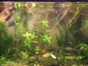 gallery_10135_460_702.jpg