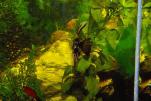 gallery_10232_466_1886075.jpg