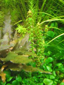 gallery_10157_469_768253.jpg