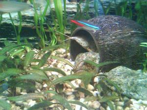 gallery_2408_476_15504.jpg