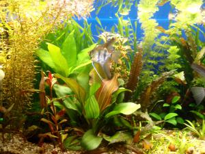 gallery_6658_358_866546.jpg