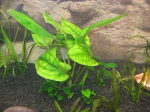 gallery_8598_440_158724.jpg