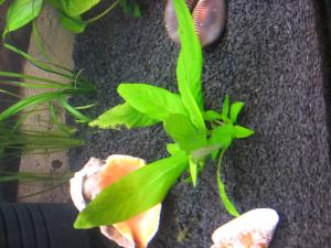 gallery_8598_440_2414459.jpg