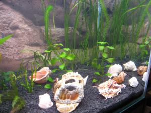 gallery_8598_440_2626094.jpg