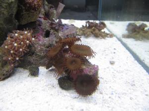 gallery_3093_506_459104.jpg