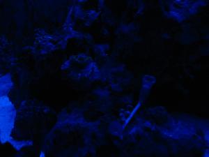 gallery_3093_506_516601.jpg
