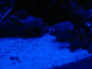 gallery_3093_506_841207.jpg