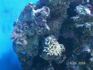 gallery_21_533_255179.jpg
