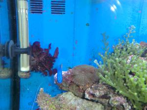 gallery_10120_537_2633137.jpg